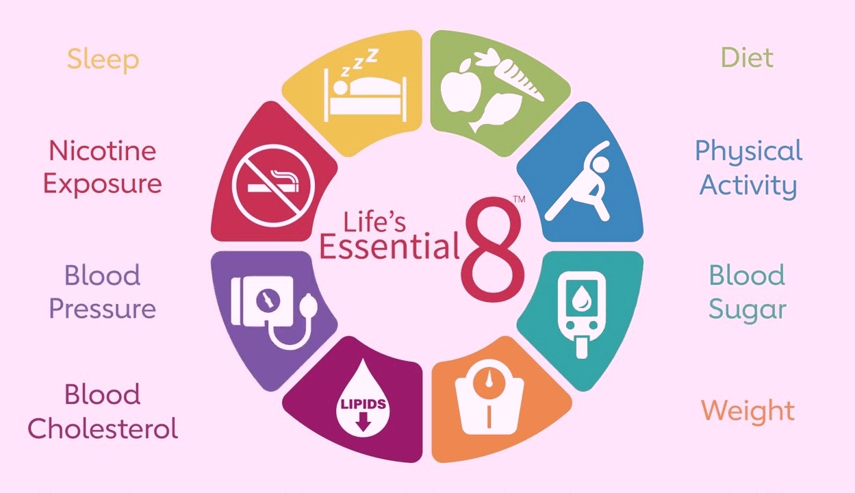 Life’s Essential 8 | Checklist De Saúde | Dra. Flávia Verocai